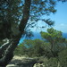 Formentera - IMG_0351