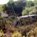 Formentera - Formentera Spider TR_00320