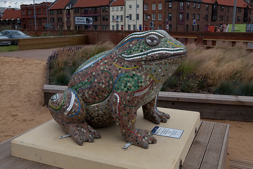 Larkin Toads in Hull-7348