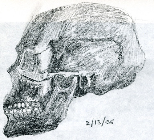 Skull in 5B pencil