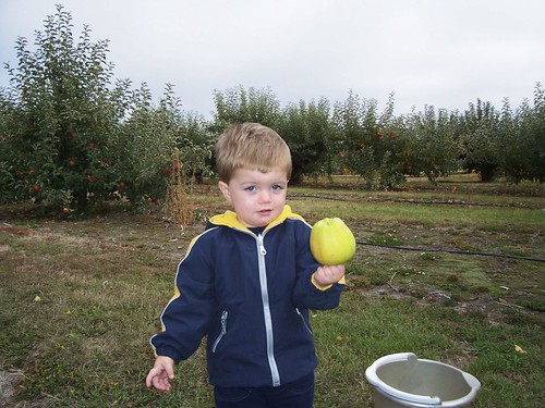Nathan apple