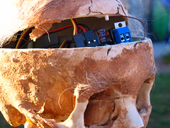 Animatronic skull circuitry