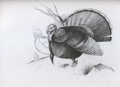 turkeyink