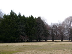 Tinicum Park