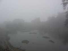Tshoka misty lake