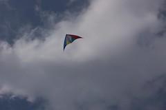 My new kite!
