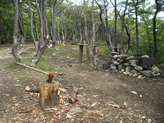 Ushuaia - 08 - Park axe