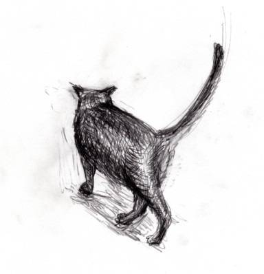 cat_sketch