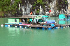 Halong Bay Floating Fishing Village