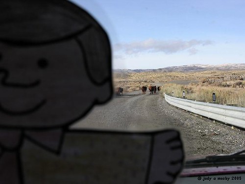 Flat Bobby did a good job, now we can pass the cows.