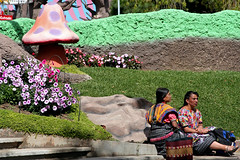 Disneyland Indigenes