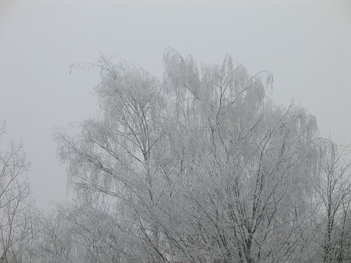Winter in Schwabenheim