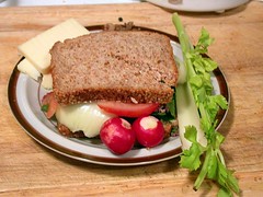 Bison sandwich with sprouted wheat bread