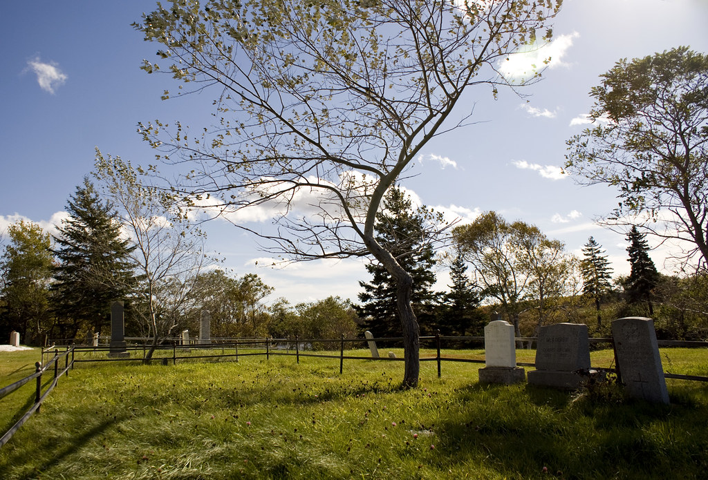 Graveyard Tree