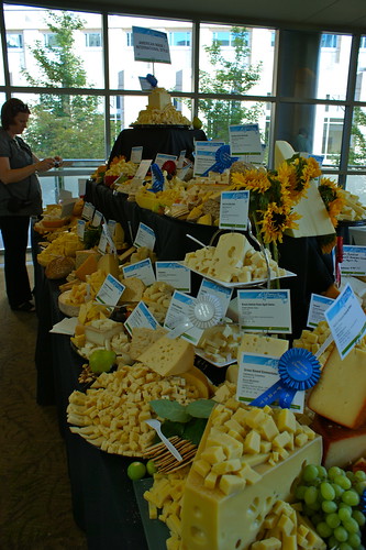 Everywhere cheese!
