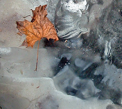 17 frozen pond