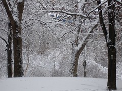 St. Paul in snow (2)