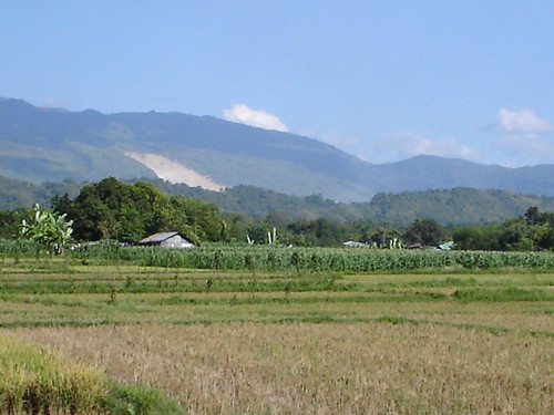 A view of the country side
