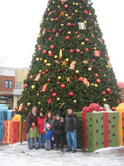 Easton's huge tree!