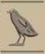古埃及文字中W、O和U都是这个鸟