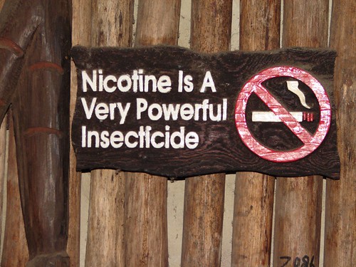 DSC00633 nicotine