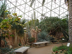 Dome - View in Desert Dome