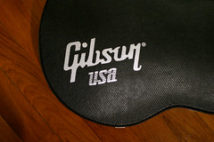 Gibson Case