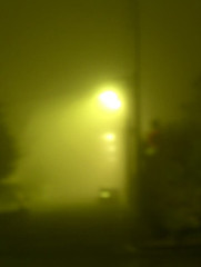 brouillard in the city lights