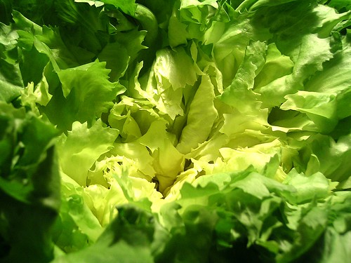 Journey to the Center of Lettuce