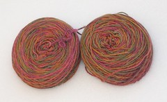 Sockapalooza yarn