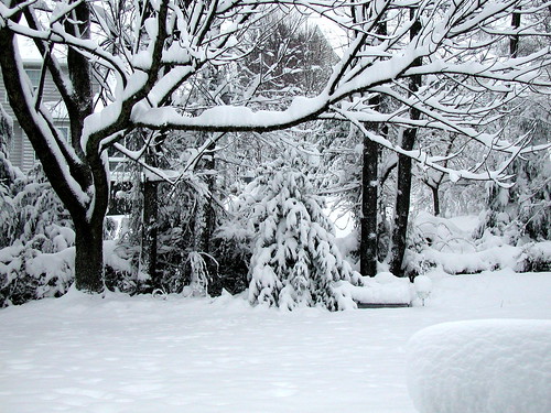 backyard snow 06