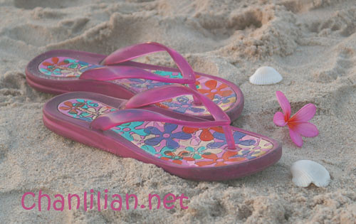 beach_slipper