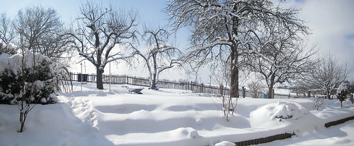 Wintergartenpanorama