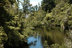 Falls River, Abel Tasman