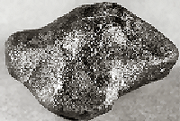 Vesta Meteorite