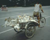 pedicab for cargo