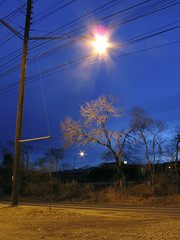 Street lamp & tree