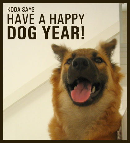 dog-year