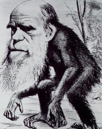 Darwin, probablemente el primero en ponerse un traje de gorila, con todas las consecuencias
