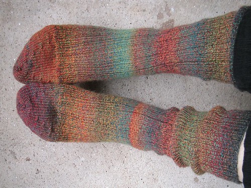 fortissima colori socks