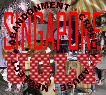 Singapore UGLY!