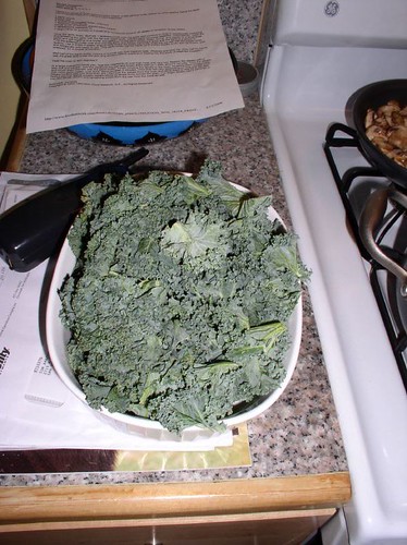 Feshly rinsed Kale