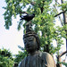 Carrion Crow & Statue