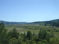 Sterling - Napa Valley View