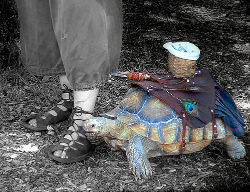 War Tortoise - Photoshop