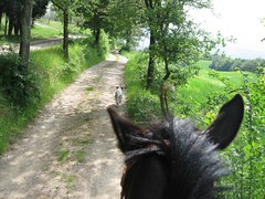 Horseback Riding in Umbria