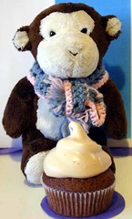 Cocoa the  monkey with cupcake