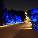 Night Foot Bridge