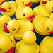 rubber ducky rush hour
