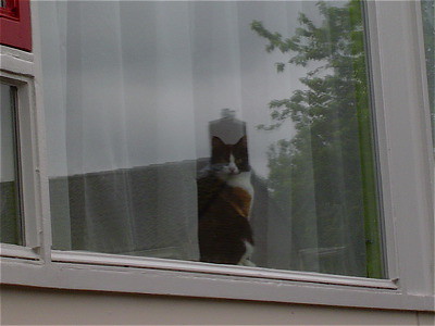 Natasha zit achter raam